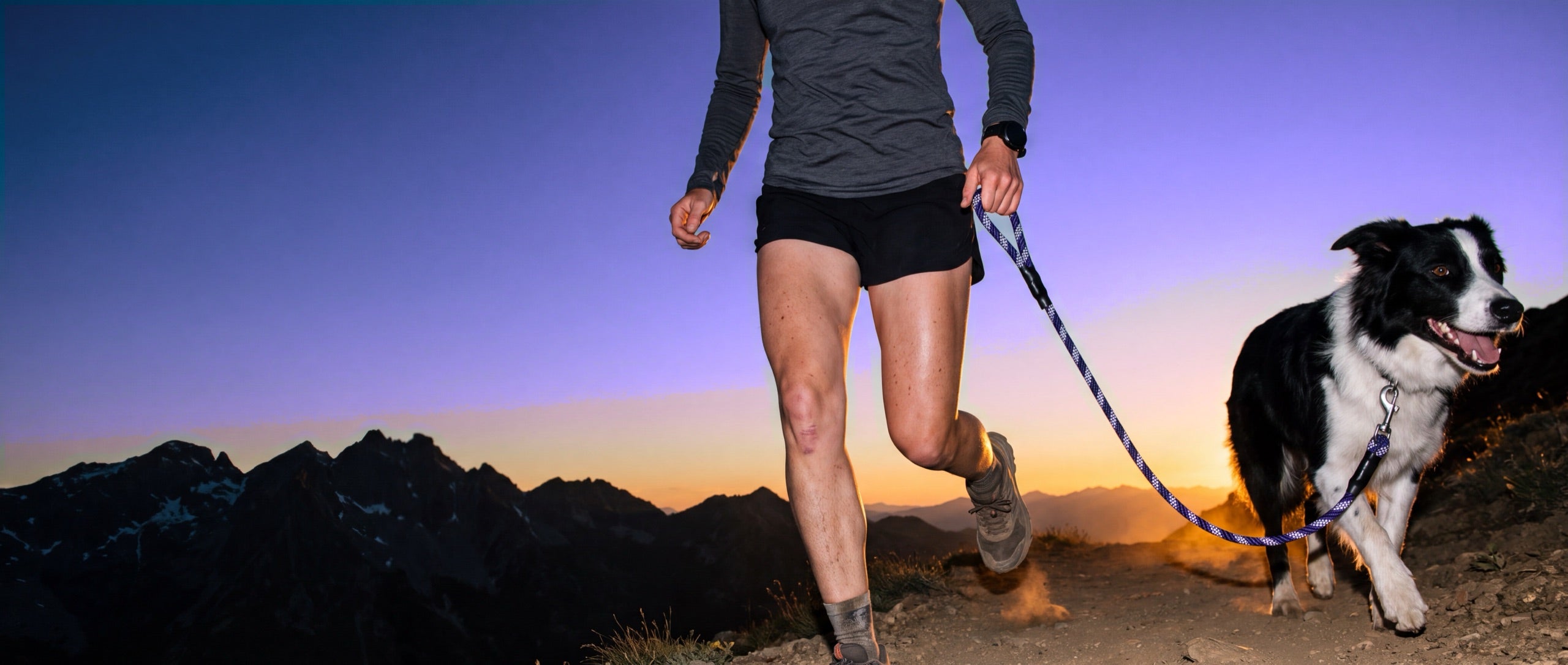 Trail runner with a Border Collie on a Nebula leash at dusk
